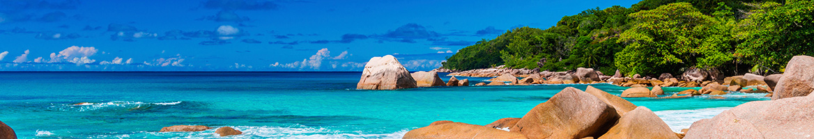 Expedia Coupons, Promo Codes & Cash Back