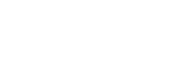 Ramy Brook