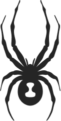 Spyder