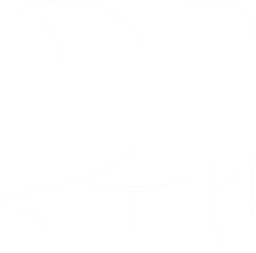 24S