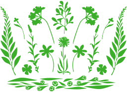 Tata Harper Skincare