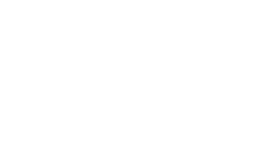 The Kooples