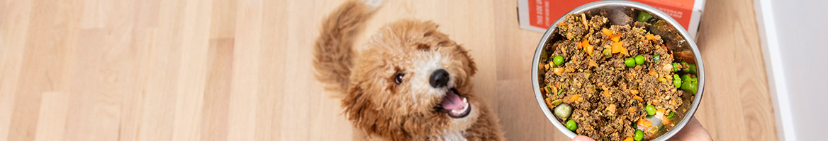 Ollie Coupons, Promo Codes &amp; Up to $15.00