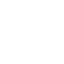 G/Fore