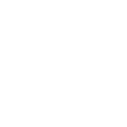 Palladium