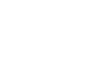 The Honest Kitchen