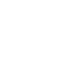 Bogg Bags
