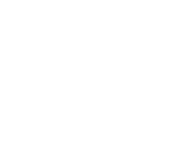 Big Joe