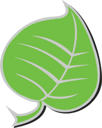 Silver Lining Herbs