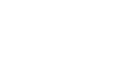 Wiley X