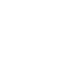 Original Penguin